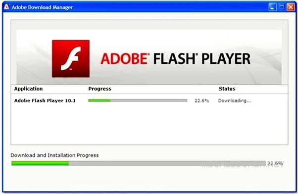 Adobe flash player установить с официального сайта