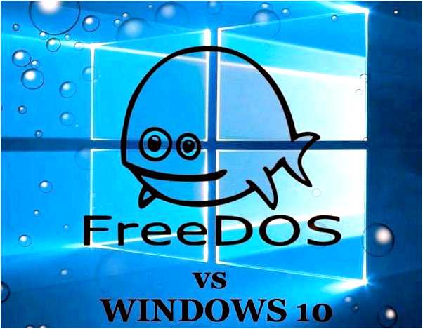 Free dos или windows 10 что лучше